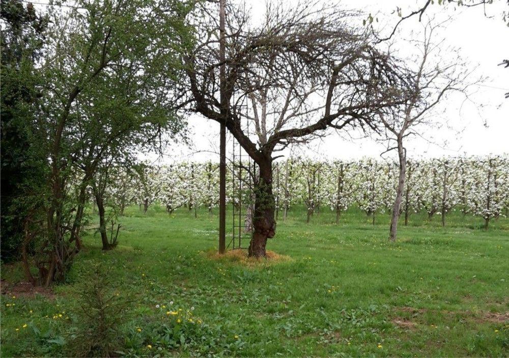 Rolo Agriturismo Dosso Al Portoヴィラ エクステリア 写真