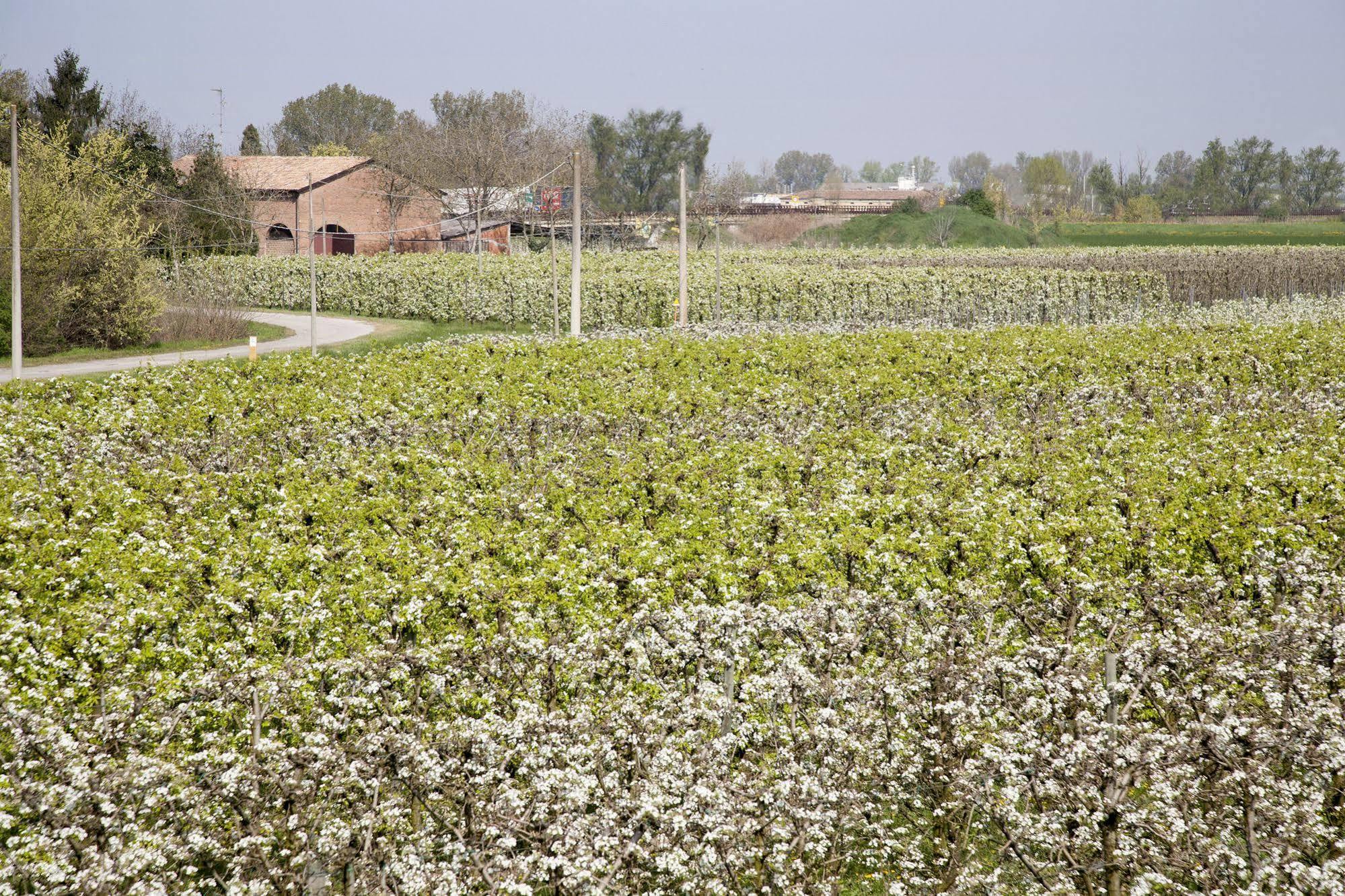 Rolo Agriturismo Dosso Al Portoヴィラ エクステリア 写真